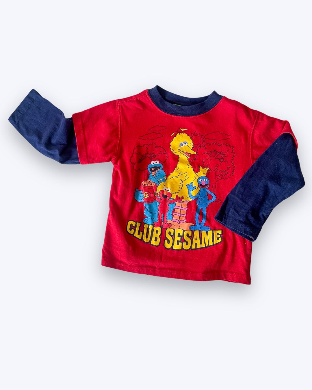 Y2k era vintage ('05) Sesame Street Top, approx 4 years