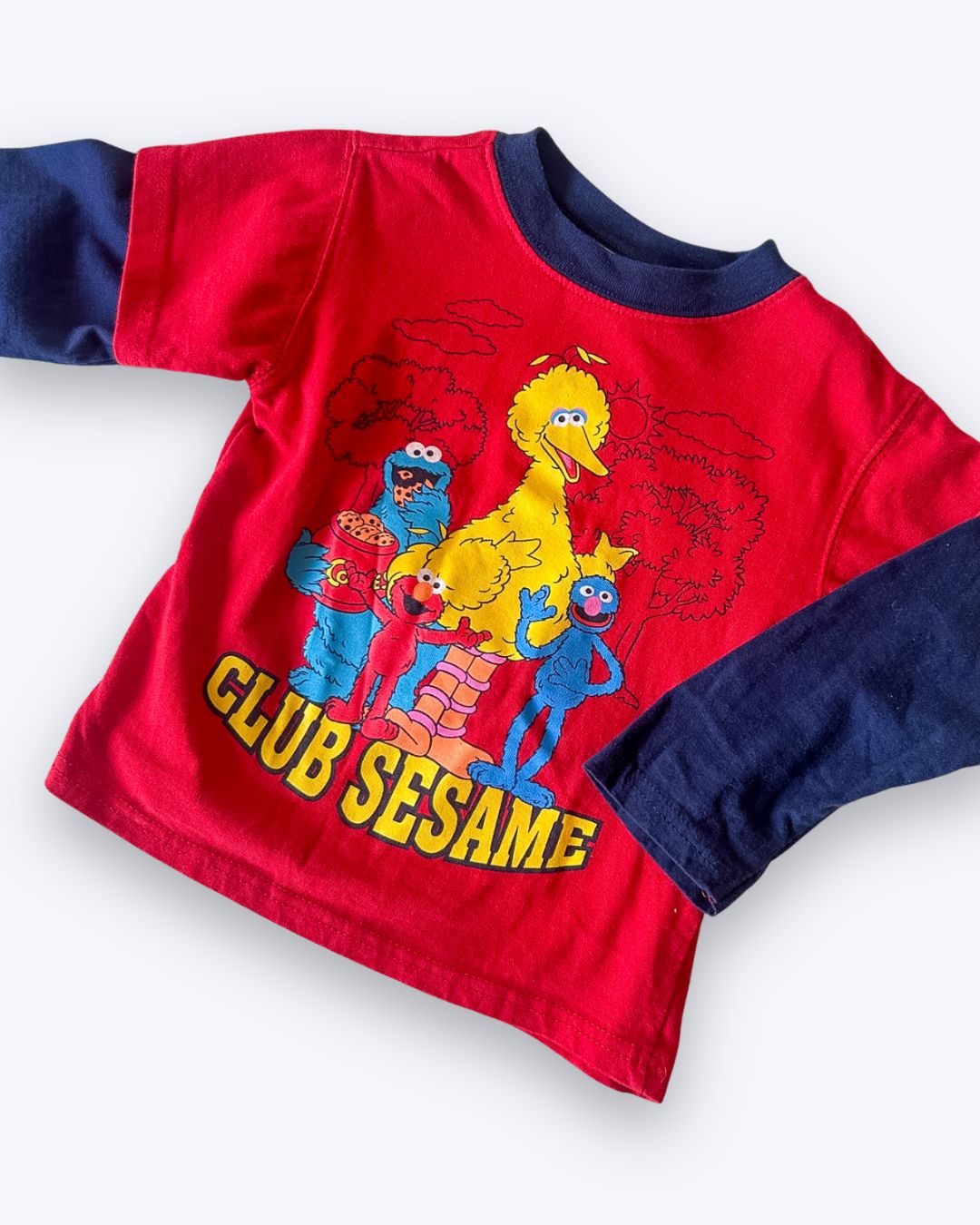 Y2k era vintage ('05) Sesame Street Top, approx 4 years