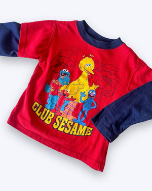 Y2k era vintage ('05) Sesame Street Top, approx 4 years